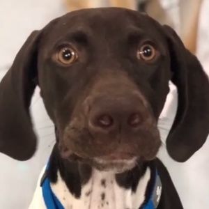 Meet your Posher, Mindy